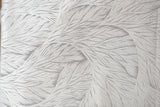 Silver Feather